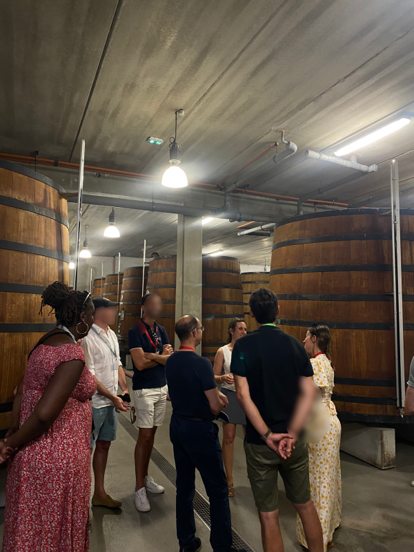 Dégustation & Visite Premium